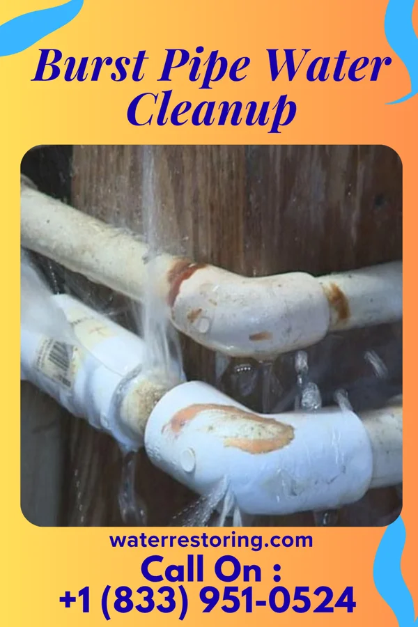 Burst Pipe Water Cleanup in Franklin Springs, GA