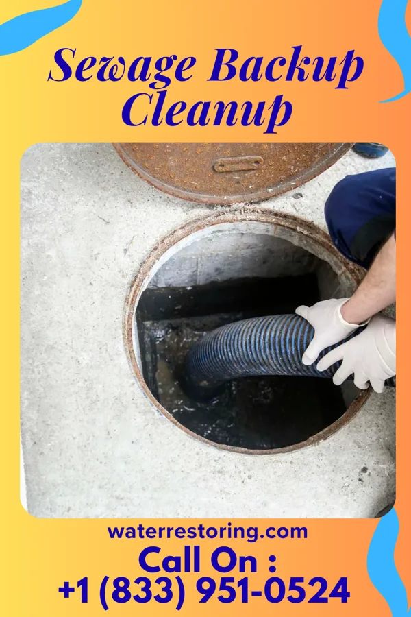 Sewage Backup Cleanup in Franklin Springs, GA